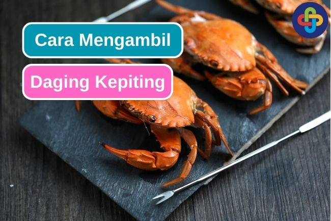 Cara untuk Mengambil Daging Kepiting dari Cangkangnya